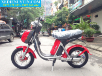 Xe đạp điện Nijia 2016 nhập khẩu chính hãng giá rẻ nhất Hà Nội